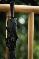 Nysa Forest Sanctuary