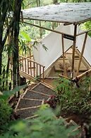 Nysa Forest Sanctuary