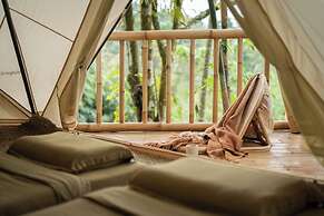 Nysa Forest Sanctuary