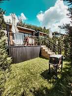 Moon Montana Busteni