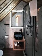 Moon Montana Busteni