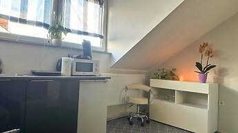 Apartment in Trier,mosl - Mosel