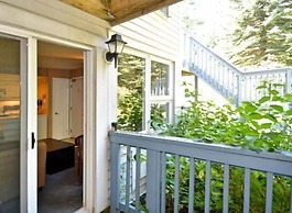 Rustic Mountainside Chalet