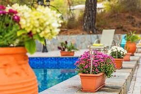 Villa Penelope Platres