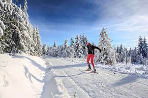 Apartment in Winterberg Near Bobsleigh Run