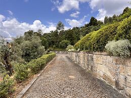 Nomad s Country - Cimo de Vila The Pool Lookout