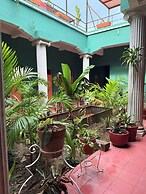 Ginger banana Hostel