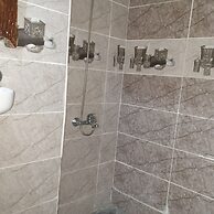 hostel aline