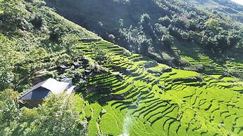 Bees Homestay Sapa & Trekking