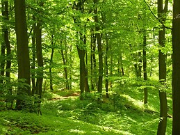 Charming Cottage Surrounded by Nature