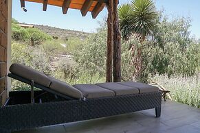 Armadillo Mágico