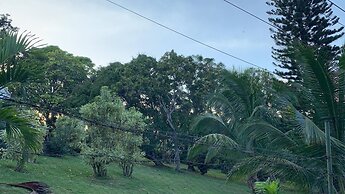 Montego Bay - Hillside Retreat