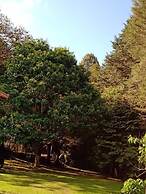 Chalé Aroma da Serra