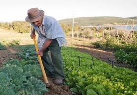 Agriturismo Le Ceregne bio