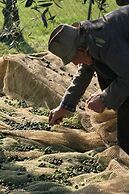 Agriturismo Le Ceregne bio