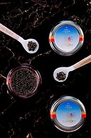 ESPACIO NAGOYA CASTLE