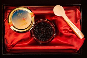 ESPACIO NAGOYA CASTLE