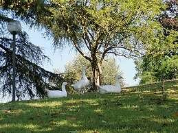 Rome Within Reach Relaxation, Nature, and a Private Pool!