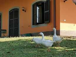 Rome Within Reach Relaxation, Nature, and a Private Pool!