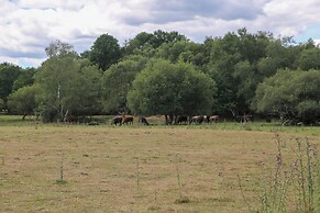 18 Deer Glade