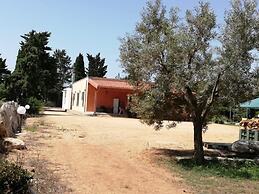 IL Pavone