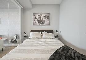 Upscale Condo in Downtown Toronto