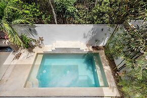 Senderos De Ciudad Mayakoba