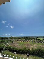 Kenting Avignon