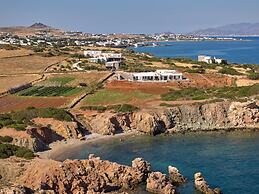 Luxury Villa Serenely