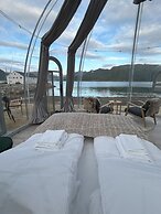 Arctic Glamping-Dome
