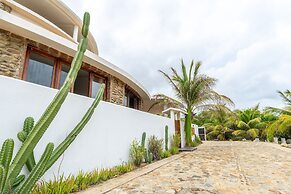 Turtle Seaview