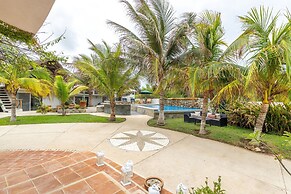 Turtle Seaview
