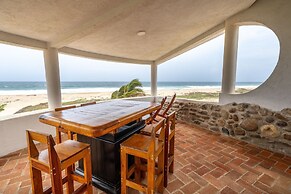 Turtle Seaview