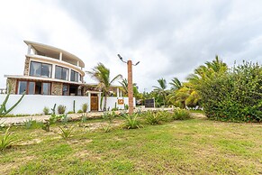 Turtle Seaview