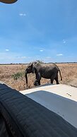 DoubleG Safaris and Camp Mikumi