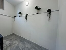 NG Collection il Barbagia