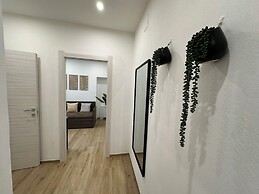 NG Collection il Barbagia