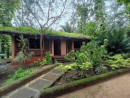 Aura Ecostay Resorts