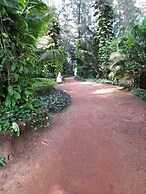 Aura Ecostay Resorts