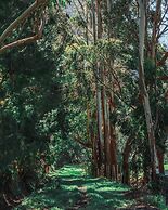 Termales Los Volcanes