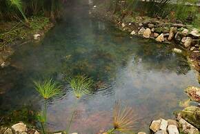 Termales Los Volcanes