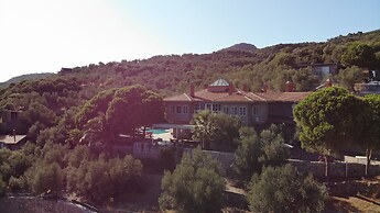 IDAOLEA.ASSOS
