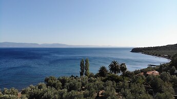 IDAOLEA.ASSOS