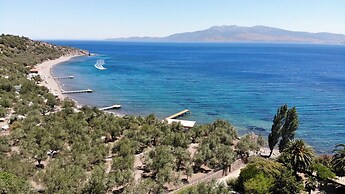 IDAOLEA.ASSOS
