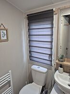 Cayton Bay Kestrel40