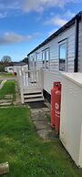 Cayton Bay Kestrel40
