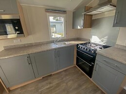 Cayton Bay Kestrel40