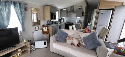 Cayton Bay Kestrel40