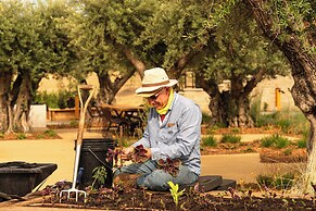 Appellation Healdsburg