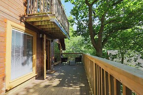 Lodge 68 - Fern Gully